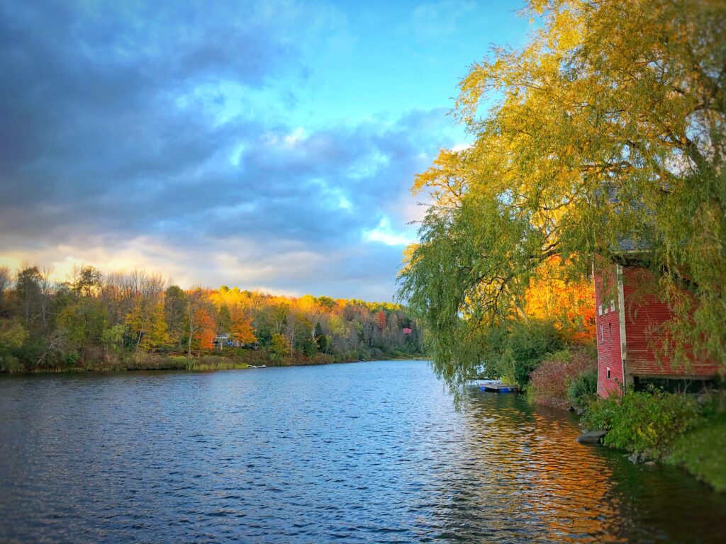 #FeedingVermontTogether img 1806 50441214551 o